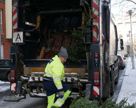 Achtung, Baum! ALBA sammelt nächste Woche alte Weihnachtsbäume ein